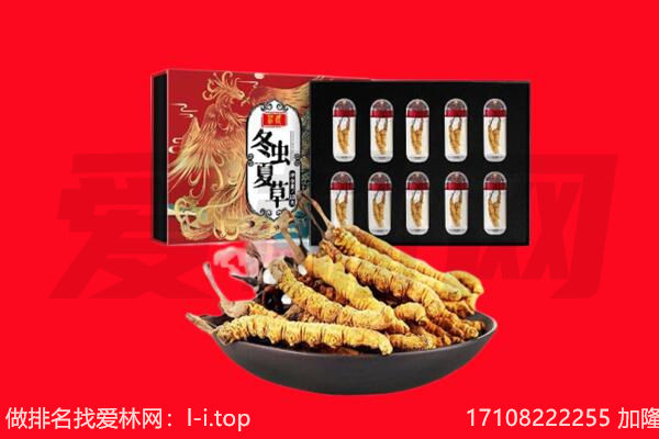阿拉善回收虫草.jpg